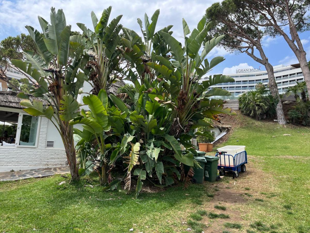 Apartamento Lujoso Y Moderno Vistas Panoramicas Al Mar マルベーリャ エクステリア 写真